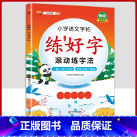 [ 语文]练字帖1本 五年级上 [正版]衡水体英语字帖练字一年级二年级三四五六上册下册小学生笔画笔顺练字帖每日一练临摹同
