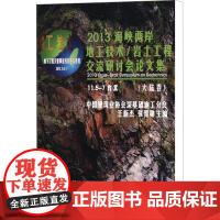 2013海峡两岸地工技术/岩土工程交流研讨会论文集(大陆卷)冶金、地质