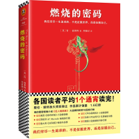 音像燃烧的密码肯·福莱特