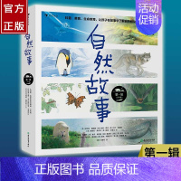 [正版]自然故事第一辑 呈现真实动物生活 4-8岁儿童科普动物百科科学故事书籍