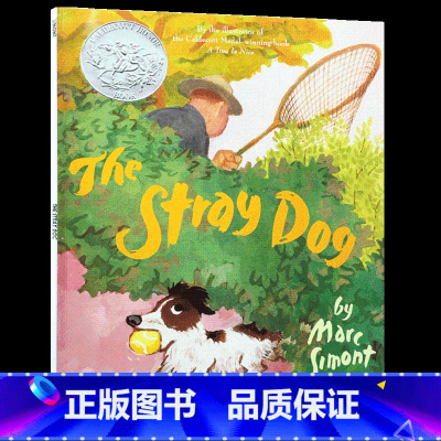 流浪狗 [正版]等待 英文原版绘本Waiting 凯迪克银奖 儿童英语启蒙图画故事书 Kevin Henkes 亲子互动