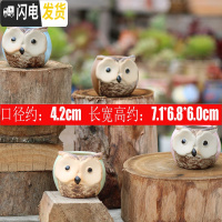 三维工匠陶瓷特小号多肉植物多色套装控型迷你多肉拇指肉肉花盆创意 猫头鹰4号(4个) 中小花盆容器