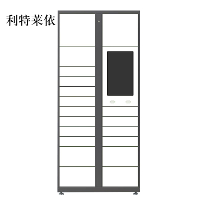 利特莱依智能快递柜小区快递自提柜派件柜室外寄存柜信报箱储物柜主柜19格