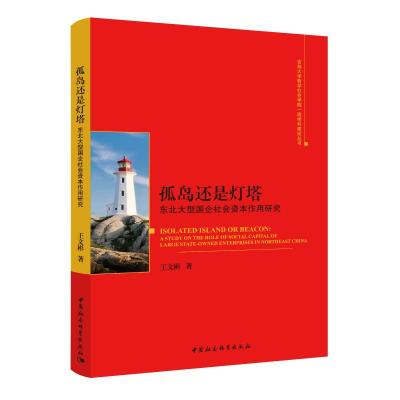 孤岛还是灯塔 东北大型国企社会资本作用研究