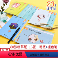 全能练字(全套23本) [正版]全能练字一本通楷书入门偏旁部首基本笔画间架结构临摹描摹朝花夕拾骆驼祥子朱自清红楼梦诗词精