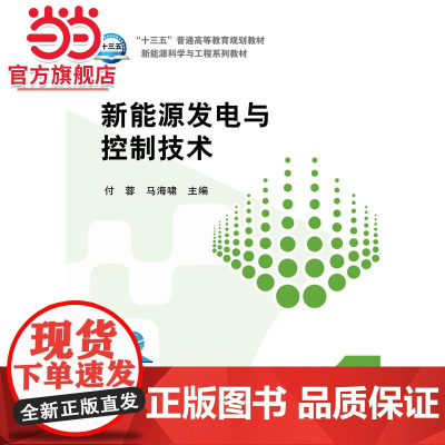 “十三五”普通高等教育规划教材 新能源发电与控制技术