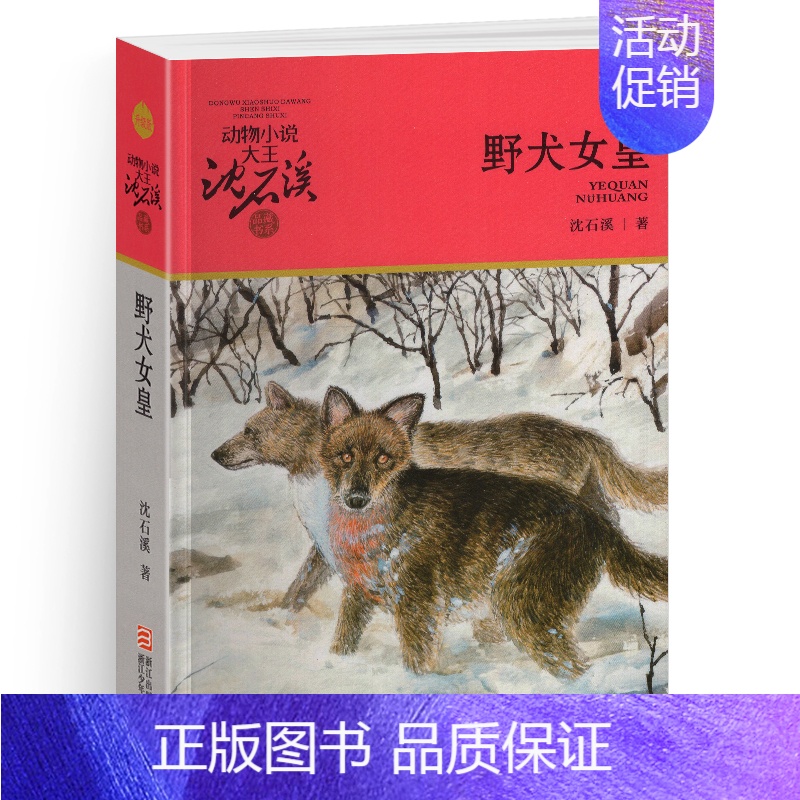 野犬女皇 [正版]雪豹悲歌沈石溪小学四年级五年级全集全套书浙江少年儿童出版社版完整版动物小说大王品藏书系小学生课外阅读经