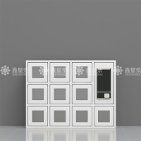 鑫星奈XXN4031509 智能手机柜充电柜手机设备寄存柜 10门