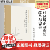 法学著作 社区矫正制度的改革与完善 张邦铺 林涛 主编 中国政法大学出版社