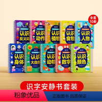 [全10册]识字安静书套装 [正版]时光学识字早教安静书免裁剪魔术贴男女孩手工创意启蒙游戏书儿童象形看图卡片幼儿认字神器