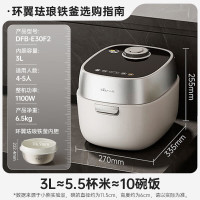 小熊(Bear)铁铁煲 电饭煲 小型2-3人电饭锅 环翼珐琅铁釜变压远红外IH加热微压柴火饭3升 DFB-E30F2