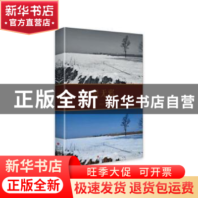 正版 思无邪 宋亚平著 百花文艺出版社 9787530683026 书籍