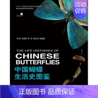 [正版]中国蝴蝶生活史图鉴 朱建青 编 蝴蝶种类收录大全 蝶类分类习性特征介绍书籍 标本照生态照图册 自然科学科普基础知