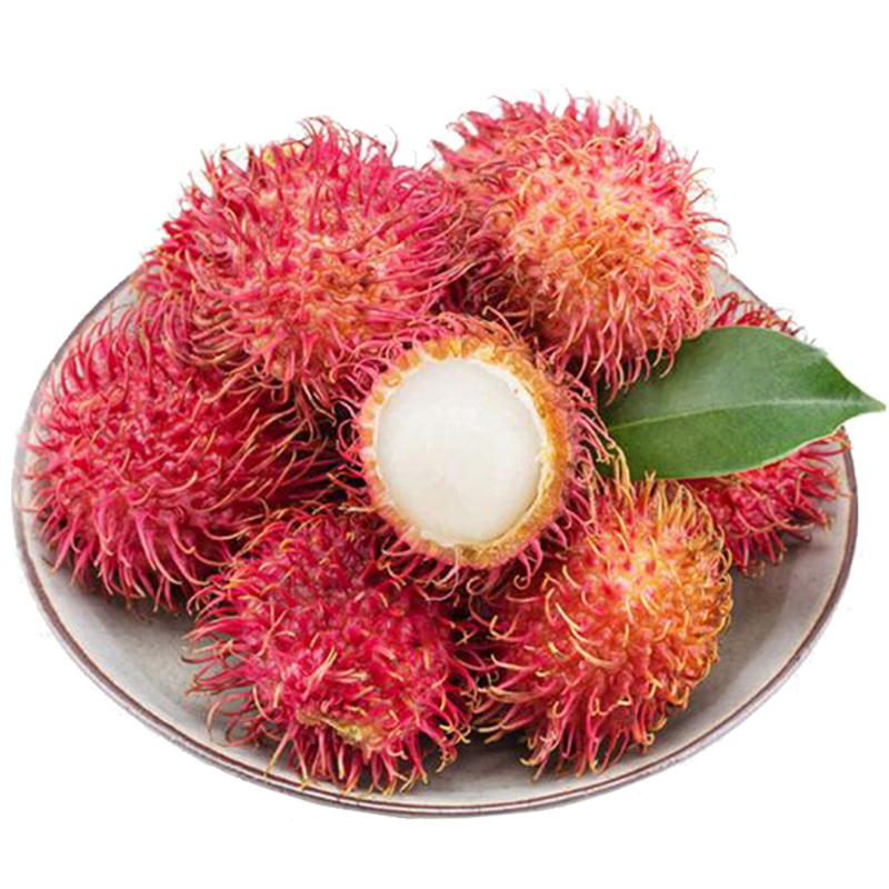 【顺丰配送】红毛丹2斤装 新鲜当季水果 毛荔枝