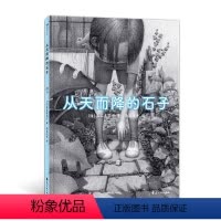 从天而降的石子 [正版]从天而降的石子 5岁以上炭笔手绘童年幻想宇宙日本艺术绘本图画故事亲子阅读睡前故事书 浪花朵朵童书