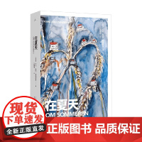 在夏天 卡尔·奥韦·克瑙斯高 著 散文