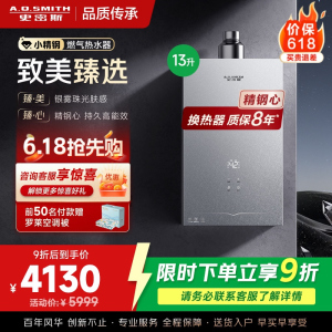 AO史密斯新品小体积13升精钢燃气热水器[小精钢EC5]静音 持久恒温 天然气 JSQ26-EC5