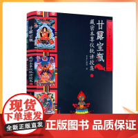 正版 甘露宝瓶:藏密本尊仪轨讲授集1 多识仁波切 甘肃民族出版社