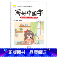 一年级上册 [正版]抖音同款小学生写好中国字一年级字帖练字二年级上册练字帖三四五六年级下册语文同步字帖人教版正楷临摹硬笔