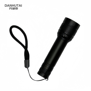 丹琥泰 DHT-SDT01 2.8W 手电筒(计价单位:个)黑色