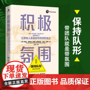 积极氛围 曼迪弗林特 伊丽莎白雯伯赫恩著(风靡全球的影响力应用指南!让团队在你设计的氛围中驱动向前 )