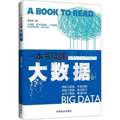 正版新书]一本书读懂大数据章沛轩9787504488237