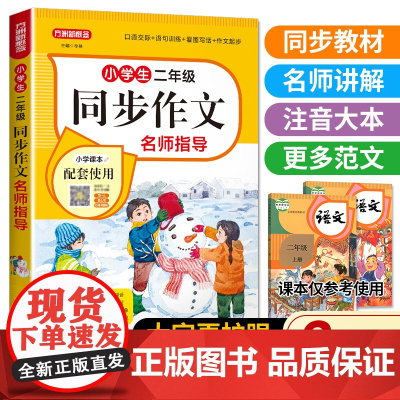 小学生二年级同步作文名师指导