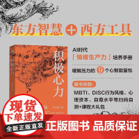 积极心力 许宗诺 积极心理学书籍心流成长型思维心智模型心理咨询