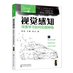 [N]视觉感知(深度学习如何知图辨物)/人工智能超入门丛书-9787122422880
