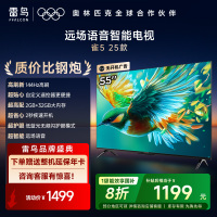 雷鸟雀5 25款55英寸4K高清智能网络远场语音平板电视机55F295C