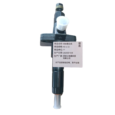 锴晟 喷油器总成 KS-L12 个