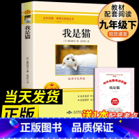 [配套人教版]我是猫 [正版]九年级2册 简爱和儒林外史吴敬梓原着完整版必读初三课外书初中课外阅读书籍上册下册名著书目下