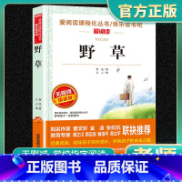小学通用 [正版]野草爱阅读名著课程化丛书青少年快乐读书吧小学生儿童一二三四五六年级上下册必课外阅读物故事书籍老师