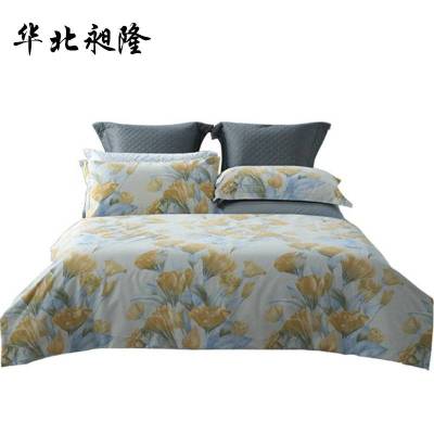 华北昶隆 床上用品四件套 200x230cm 套