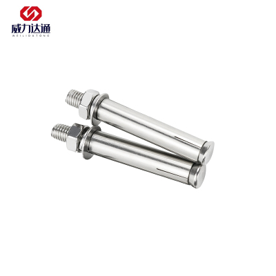 威力达通 不锈钢膨胀螺栓 M6*60 个