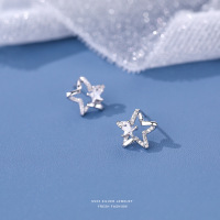 小红书S999纯银超闪星星锆石耳钉女韩版小众设计高级感百搭耳饰送女朋友老婆情人节七夕生日礼物