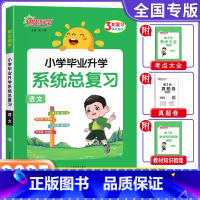 语文 小学升初中 [正版]2025新版小学毕业升学系统总复习语文通用版六年级语文考点大全与全真模拟练习册小升初刷题真题卷