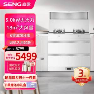 森歌(SENG)集成灶L1 消毒柜款外观美 大容量 一体式吸烟机燃气灶具 家用抽油烟机燃气灶套装 天然气白色款