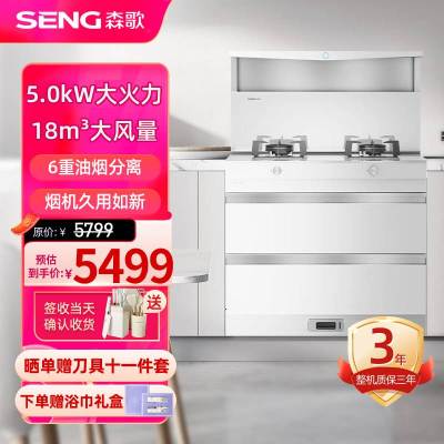 森歌(SENG)集成灶L1 消毒柜款外观美 大容量 一体式吸烟机燃气灶具 家用抽油烟机燃气灶套装 天然气白色款