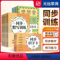 小学语文同步默写训练 二年级上 [正版]2024版小学语文新编同步默写训练&识字卡&看拼音写词语 一年级二三四五年级上册