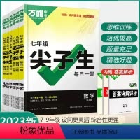 [套装2册]数学+物理 九年级/初中三年级 [正版]2023万唯尖子生题库七八九年级数学物理化学每日一题培优训练初中拔高