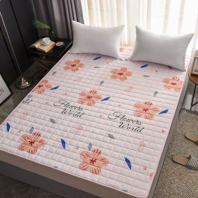 SleepyBear四季防滑床垫可水洗床护垫可机洗榻榻米单双人可折叠宿舍床褥