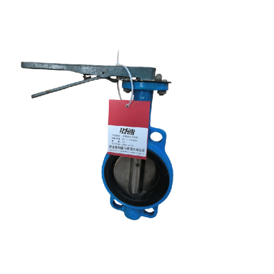 时速 手柄对夹式蝶阀 D71X-16 DN50 个