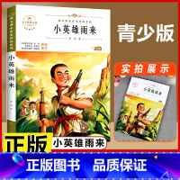 小英雄雨来 [正版]小英雄雨来四年级全套爱的教育童年六年级上册必读的课外书高尔基原著名家经典阅读书籍青少年7-15岁中小