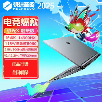 机械革命(MECHREVO)极光X 潮玩版 16英寸游戏本笔记本电脑 定制(I9-14900HX 64G 2T RTX5060 2.5K屏 300Hz 灰)