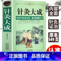 针灸大成 [正版] 针灸大成 原文集注白话解完整版杨继洲艾灸中医针灸基础理论临床医学大全针灸学全集内经甲乙经校释灸绳董氏