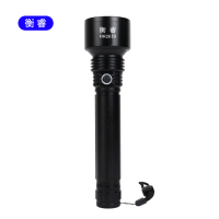 衡睿 防爆手电 HR2619 个