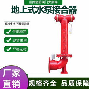 中锦科技 地上水泵接合器 SQS100-1.6A DN100 台