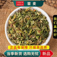 甄选瞿麦100克正品麦石竹子花巨麦曲麦翟麦另售车前子9260