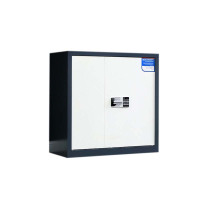 风雷动保密柜财务档案柜文件柜办公室资料储物柜保险柜电子密码国保锁矮柜灰白-国保密码锁